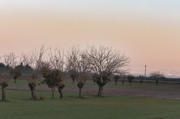 Obraz na płótnie Canvas Panorama invernale della pianura padana dell'Emilia Romagna