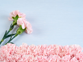 Pink carnation on pastel blue notebook