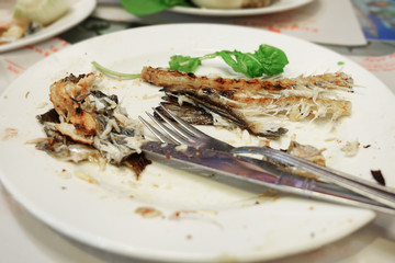 remains of eaten fish on a plate, close up.
