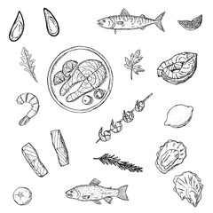 Set of seafood. Vector cartoon illustrations. Isolated objects on a white background. Hand-drawn style.
