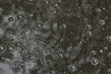 background puddle rain / circles and drops in a puddle, texture with bubbles in the water, autumn rain