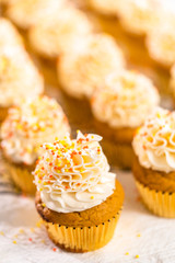 Pumpkin spice cupcake