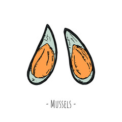 Hand-drawn isolated mussels. Vector cartoon illustrations. 
