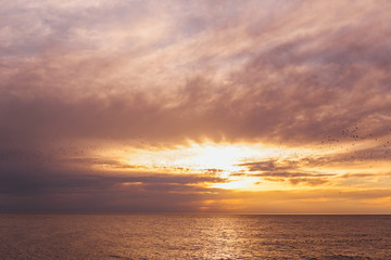 landscape evening sea and sky with clouds