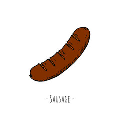 Hand-drawn isolated sausage. Vector cartoon illustration.
