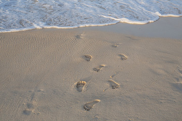 Footprints in the sand on the beach. Fuerteventura, Las Palmas, Spain