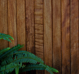 fern leaves against pine boards