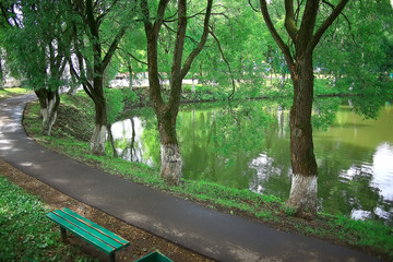 summer park landscape, green trees and walkway in the summer city park