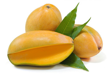 mango fruits isolated on white background