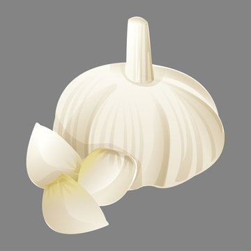 white garlic cartoon garphic herb isolated on grey background