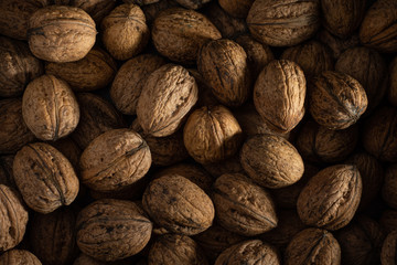 Unpeeled whole walnuts. Lots of healthy food walnuts.  Background image