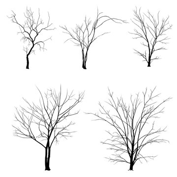 Set of black tree silhouettes isolated on white background.