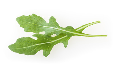 Fresh rucola leaves isolated on white background