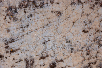 Ground, Wall surface texture for decoration background