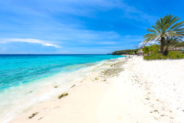 Fototapeta na wymiar Cas Abao beach - paradise white sand Beach with blue sky and crystal clear blue water in Curacao, Netherlands Antilles, a Caribbean tropical Island