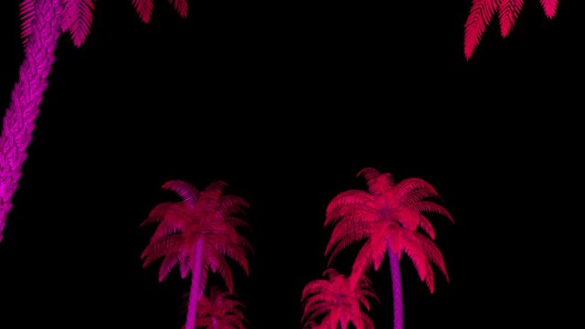 Neon Palm Trees Bottom Up Rows VJ Visual
