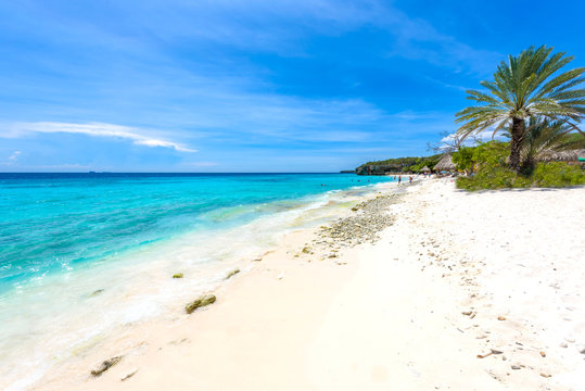 Cas Abao beach - paradise white sand Beach with blue sky and crystal clear blue water in Curacao, Netherlands Antilles, a Caribbean tropical Island