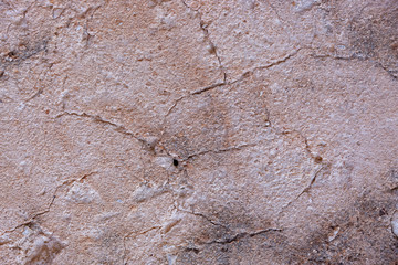 Ground, Wall surface texture for decoration background