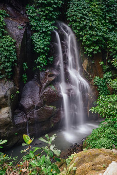  Wild forest riverside waterfall streaming from the rock at Bali © Photo-maxx