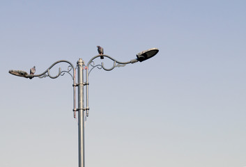 gray metal old lantern against the sky