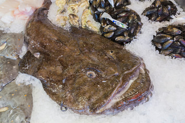 Seeteufel in der Auslage auf dem Fischmarkt in Bergen, Norwegen