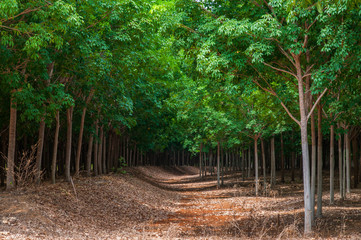 2019_october_brazil_trip