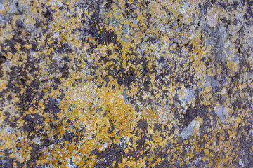 Ground, Wall surface texture for decoration background