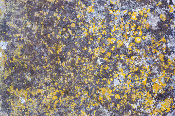Ground, Wall surface texture for decoration background