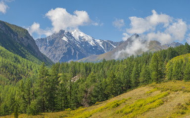 Fototapeta premium Mountain valley, green forests. Sunny summer day, blue sky with clouds. Travel and vacation in the mountains.