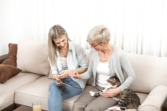 A senior blonde woman learns to use a tablet computer. She wants to learn how to buy cat food online. But she also wants to know how to watch tv online
