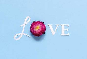 Word LOVE and flower on a light blue background