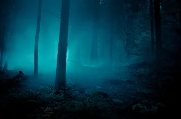 Poster Sprookjesachtig landschap. Mysterieus licht in de nacht tussen boomstammen in het nachtelijke spookachtige bos. © stone36