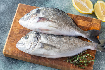 Fresh dorada on the wooden board
