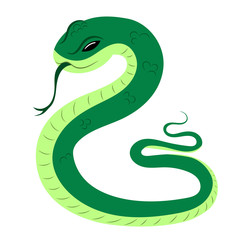 Cartoon snake. Viper. Vector illustration on a white background. Drawing for children.