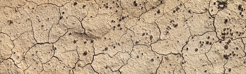 Fototapeta premium Cracked dry soil. Desert, arid climate. Natural backgrounds, panoramic 