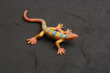 lizard shaped rubber toy in color background