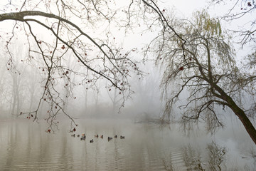 Reflections in mysterious lake