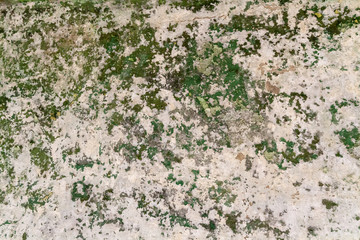 Ground, Wall surface texture for decoration background