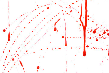 Bloody splashes and drops on a white background. Dripping and following red blood