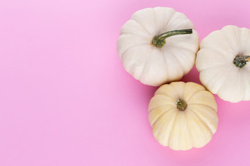 Creative Top view flat lay pumkin composition.