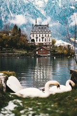 Schloss Iseltwald Brienzersee