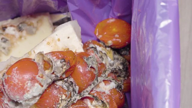 Cherry tomatoes and cheese with undesirable mold in a trash can