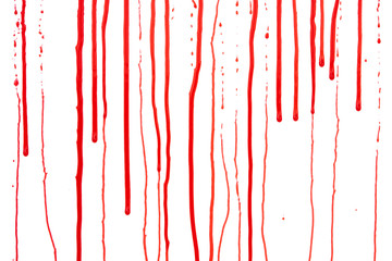 Dripping blood isolated on white background. Flowing red blood splashes, drops and trail