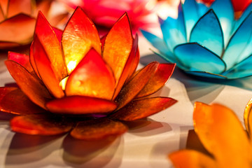 Wasserlilie © Harald