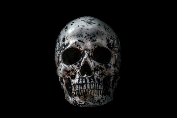 Human skull in black soil isolated on black background with clipping path