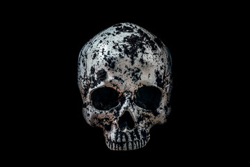 Human skull in black soil isolated on black background with clipping path