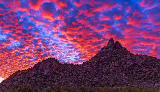 Vibrant Arizona Sunset Landscape At Pinnacle Peak Park