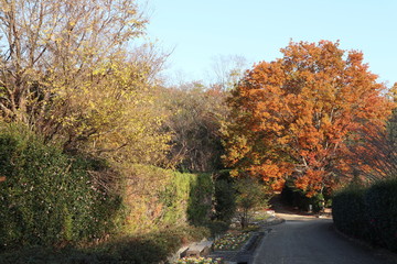 馬見丘陵公園の初冬