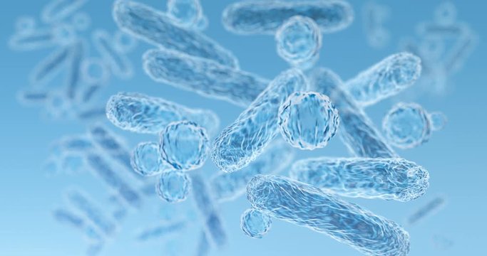 Enterobacteriaceae, gram-negative rod-shaped bacteria, part of intestinal microbiome and causative agents of different infections, 3D rendering. Escherichia coli, Klebsiella, Enterobacter and other