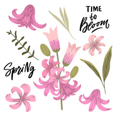 Flowers stickers set. Spring summer hand drawn flowers for print, decor.